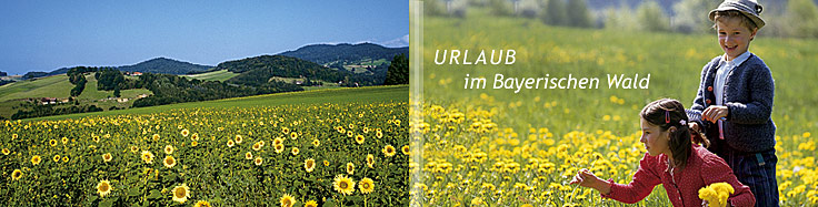 Urlaub im Naturpark Bayerischer Wald in Bayern